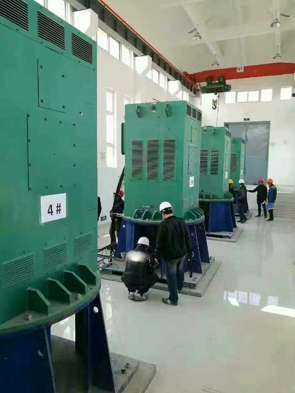 枫木镇某污水处理厂使用我厂的立式高压电机安装现场