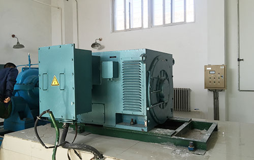 枫木镇某水电站工程主水泵使用我公司高压电机